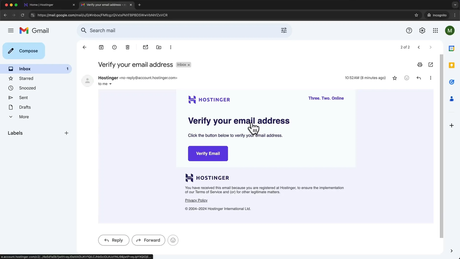 Hostinger email verification