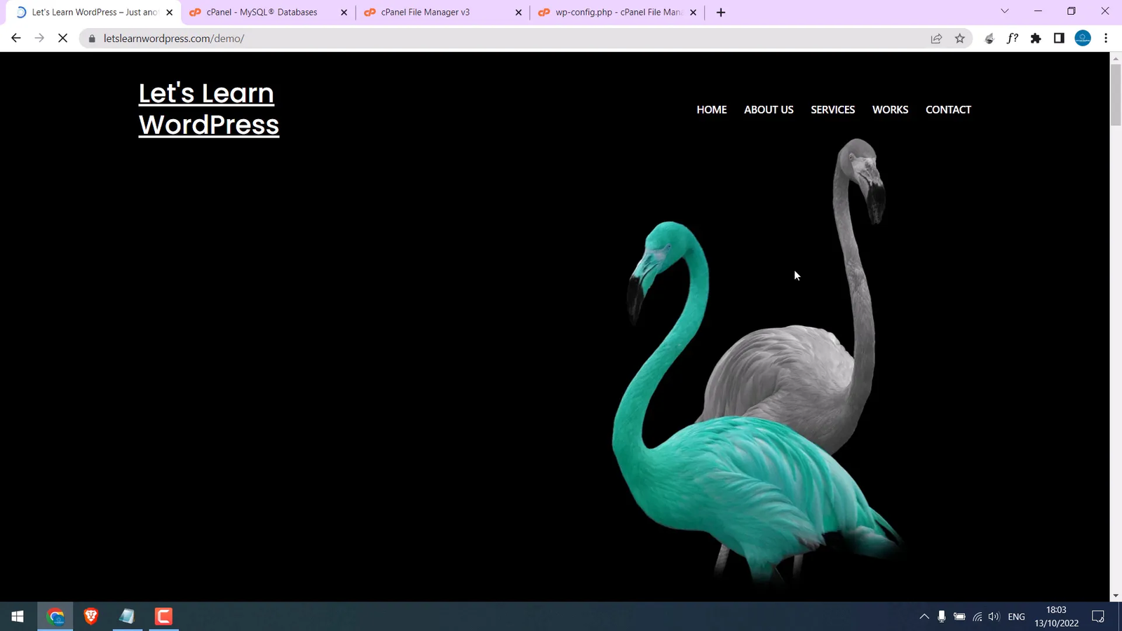 Website successfully loading after fixing database connection error
