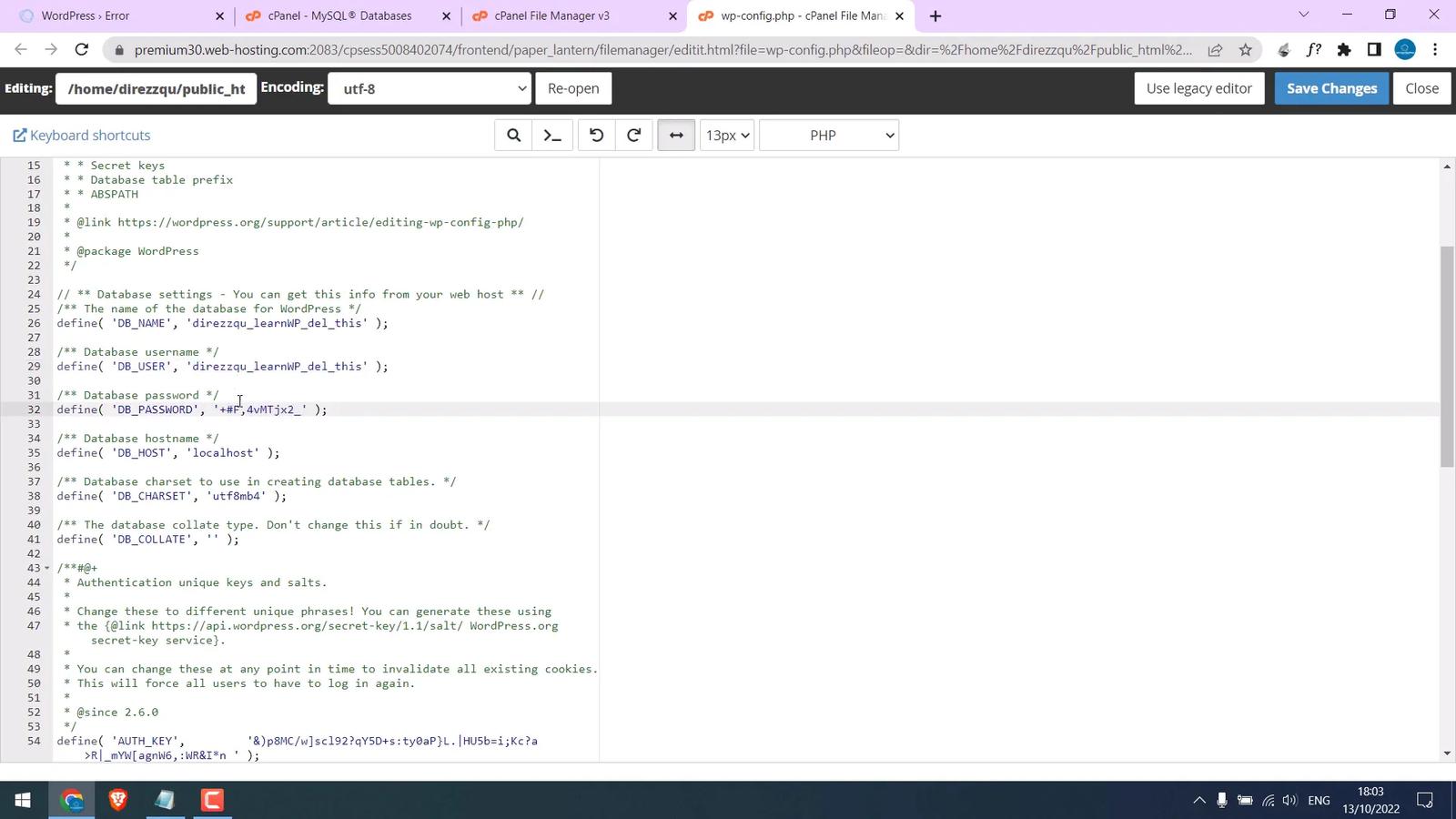 Updating password in wp-config.php and saving changes